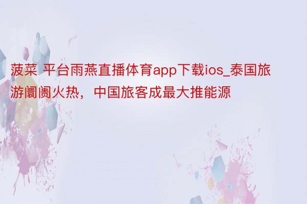 菠菜 平台雨燕直播体育app下载ios_泰国旅游阛阓火热，中国旅客成最大推能源